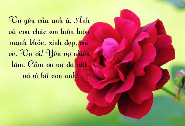 stt chúc sinh nhật hay stt chúc sinh nhật hay