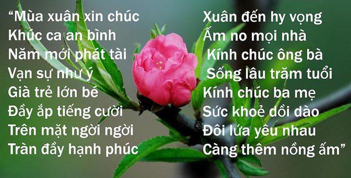 Lời chúc đồng nghiệp may mắn vào dịp Tết Lời chúc đồng nghiệp may mắn vào dịp Tết