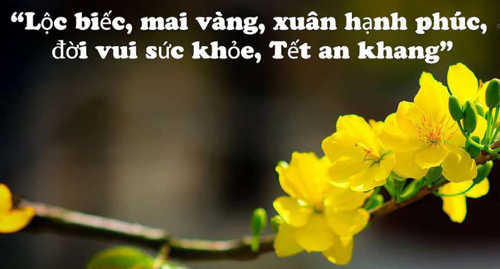 lời chúc tết lời chúc tết