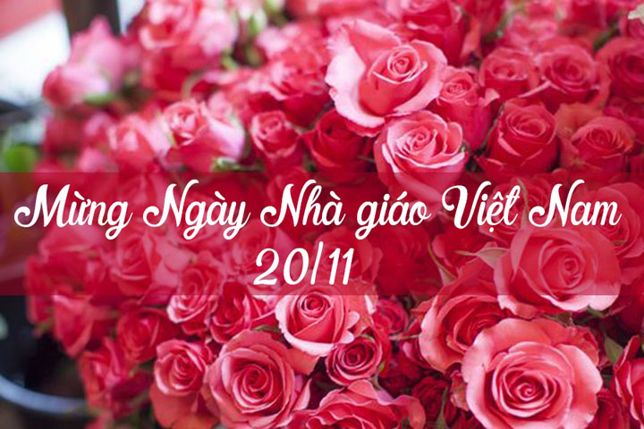 LỜI TRI ÂN THẦY CÔ HAY NHẤT NHÂN NGÀY 20-11