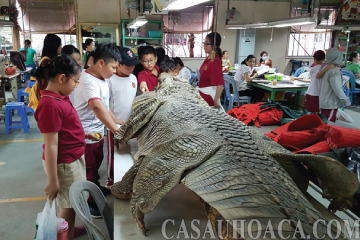 HOA CÀ - THƯƠNG HIỆU ĐỘC ĐÁO TỪ DA CÁ SẤU THẬT